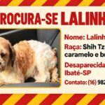 lalinha